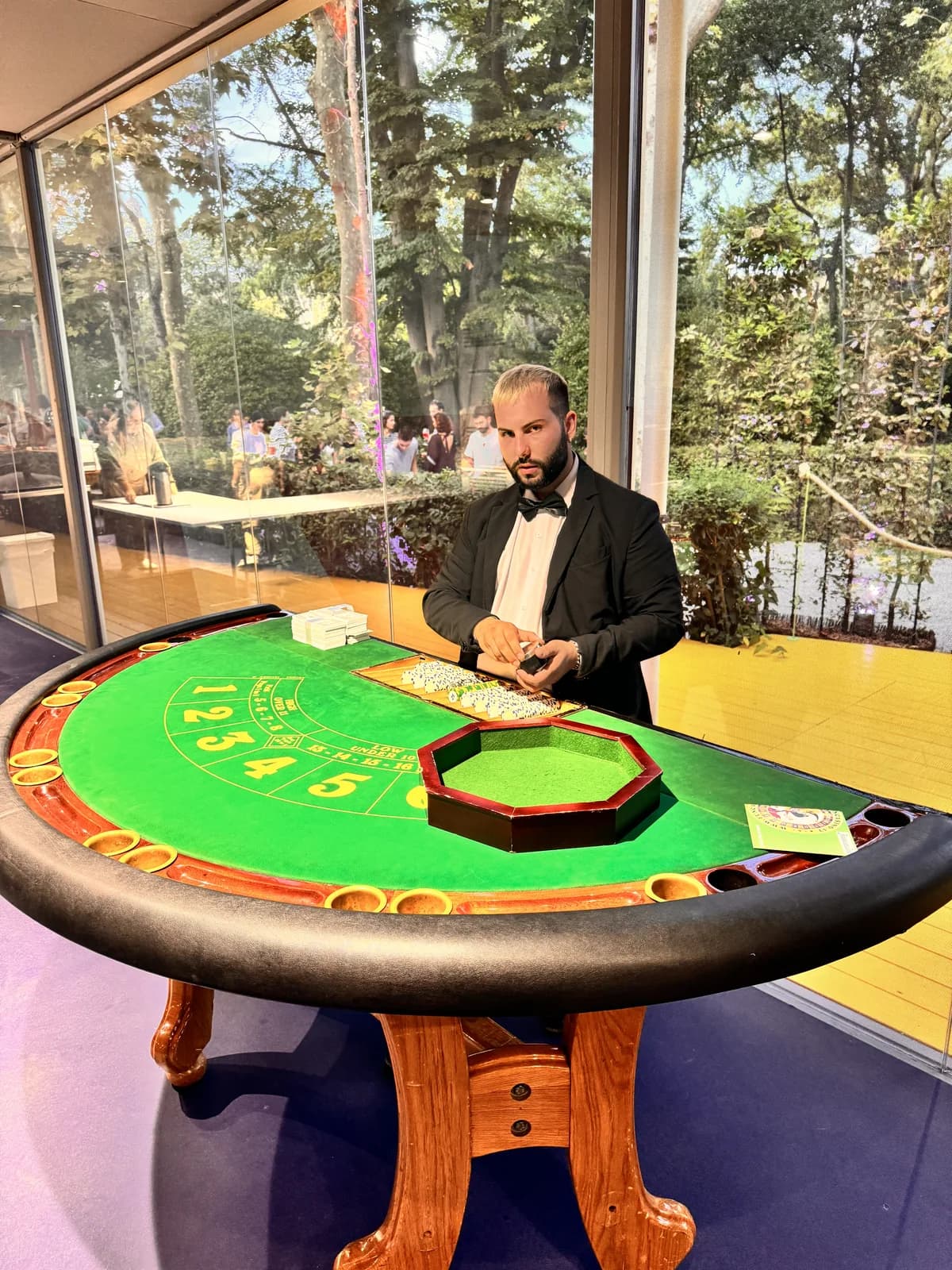 Croupier Fun Casinò al tavolo con carte, dadi e fiches